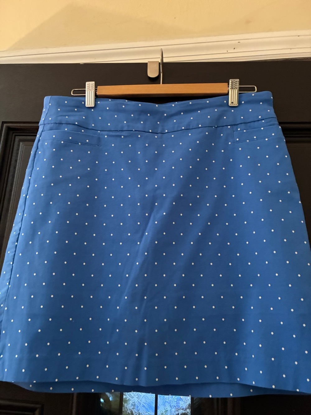 Kim Rogers Blue Polka Dot Ladies Skirt